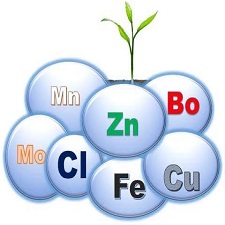 micro-nutrients